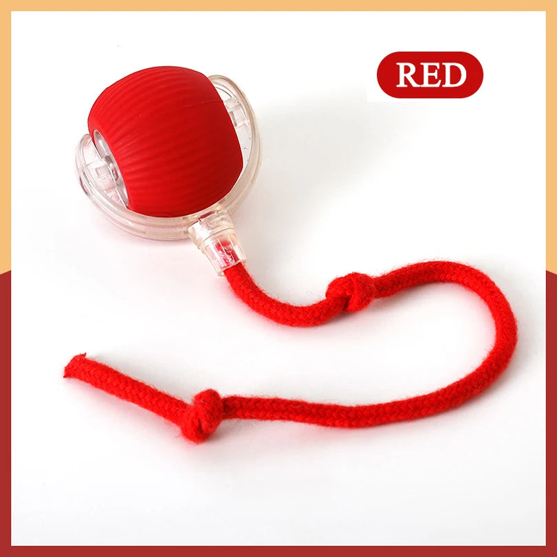 Motion-Activated Rolling Cat Toy – Interactive Hide & Seek Fun