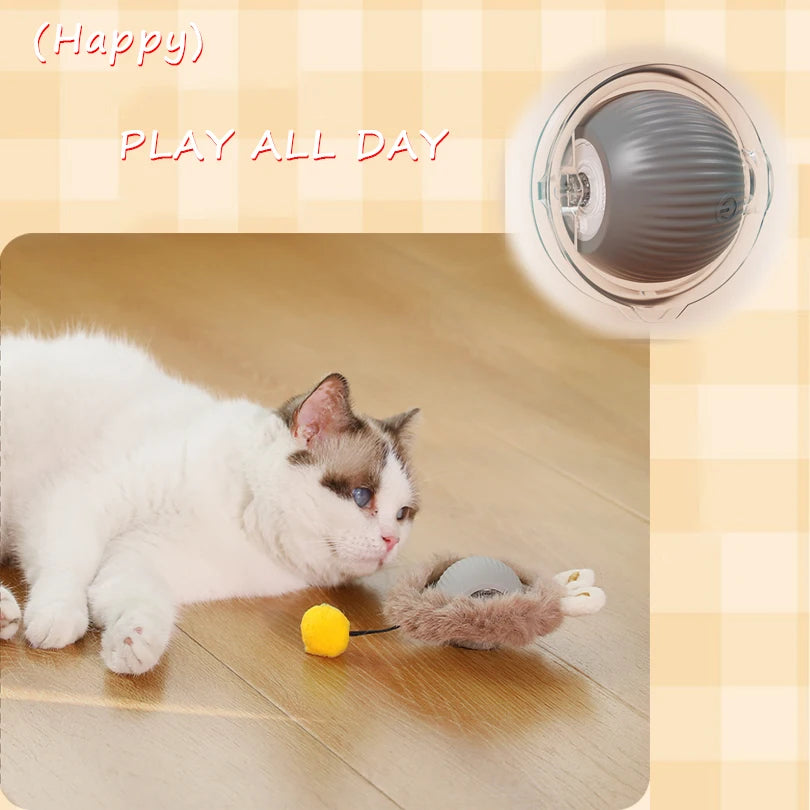 Motion-Activated Rolling Cat Toy – Interactive Hide & Seek Fun
