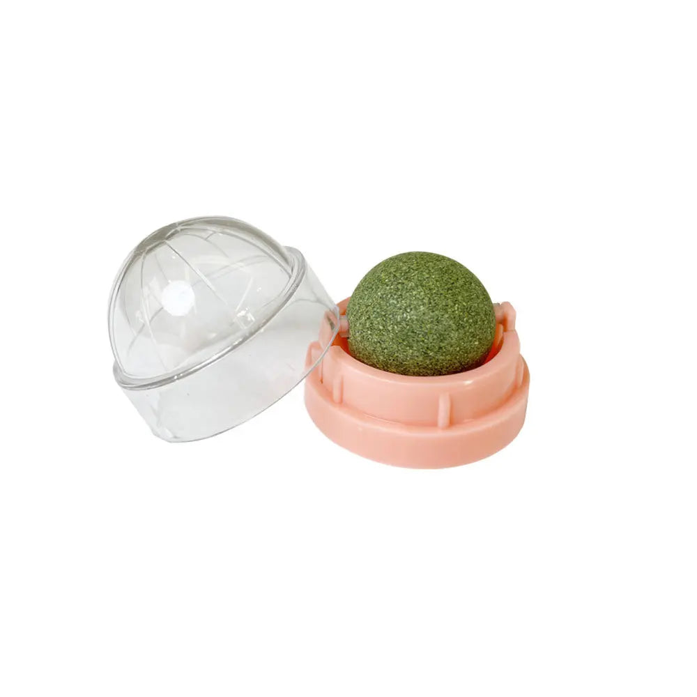 Catnip Wall Ball – Stick-On Digestive Treat
